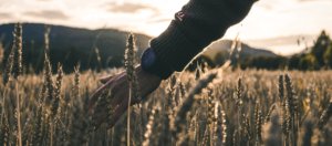 Kasper M. de Thurah ↟ iamnordic | ulvang_garmin