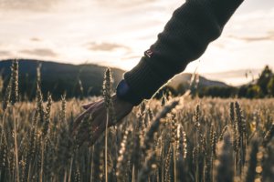 Kasper M. de Thurah ↟ iamnordic | ulvang_garmin