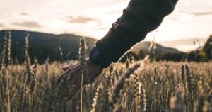 Kasper M. de Thurah ↟ iamnordic | wool_ulvang