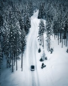 Kasper M. de Thurah ↟ iamnordic | IMG_0659