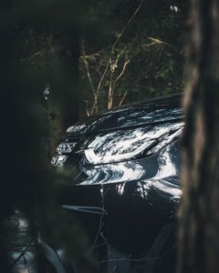 Kasper M. de Thurah ↟ iamnordic | iamnordic-1099766