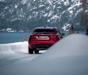 Kasper M. de Thurah ↟ iamnordic | iamnordic-1100284