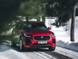 Kasper M. de Thurah ↟ iamnordic | iamnordic-1100293