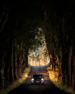 Kasper M. de Thurah ↟ iamnordic | iamnordic-22-08-19--4