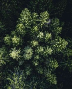 Kasper M. de Thurah ↟ iamnordic | 