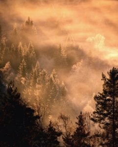 Kasper M. de Thurah ↟ iamnordic | 