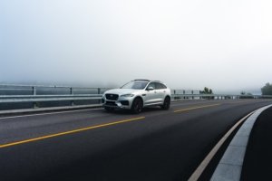 Kasper M. de Thurah ↟ iamnordic | 