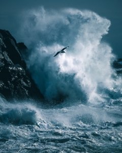 Kasper M. de Thurah ↟ iamnordic | iamnordic-02-04-20-1048469-2