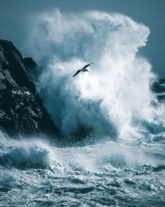 Kasper M. de Thurah ↟ iamnordic | 