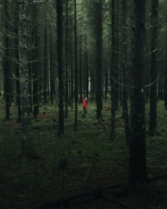 Kasper M. de Thurah ↟ iamnordic | 