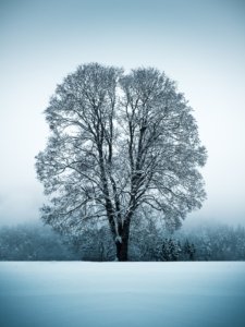 Kasper M. de Thurah ↟ iamnordic | 