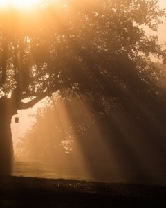 Kasper M. de Thurah ↟ iamnordic | 