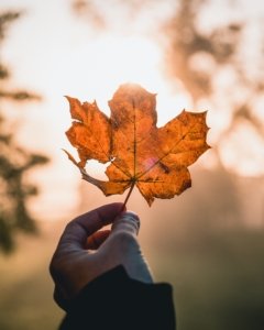 Kasper M. de Thurah ↟ iamnordic | 