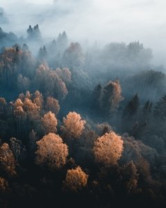 Kasper M. de Thurah ↟ iamnordic | 