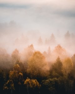 Kasper M. de Thurah ↟ iamnordic | 