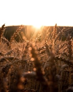 Kasper M. de Thurah ↟ iamnordic | 