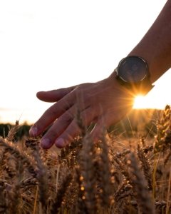 Kasper M. de Thurah ↟ iamnordic | 