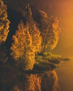 Kasper M. de Thurah ↟ iamnordic | 