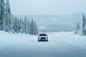 Kasper M. de Thurah ↟ iamnordic | 