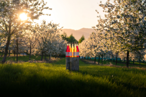 Kasper M. de Thurah ↟ iamnordic | 