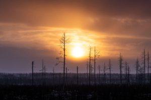 Kasper M. de Thurah ↟ iamnordic | visitsweden - iamnordic -14-12-22 -_-23