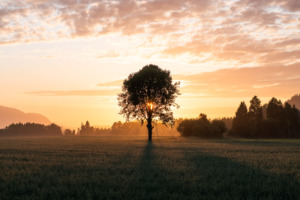 Kasper M. de Thurah ↟ iamnordic | elset-anthon - iamnordic -09-07-25 -_-10